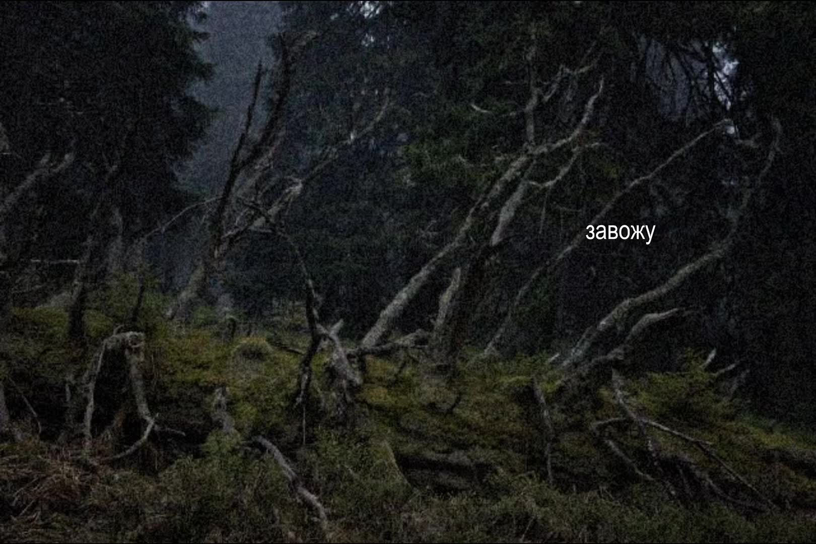 @звуки для липсингов
