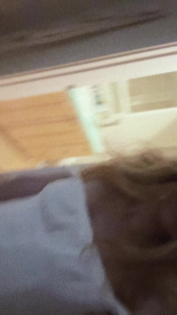 @iris_sisto