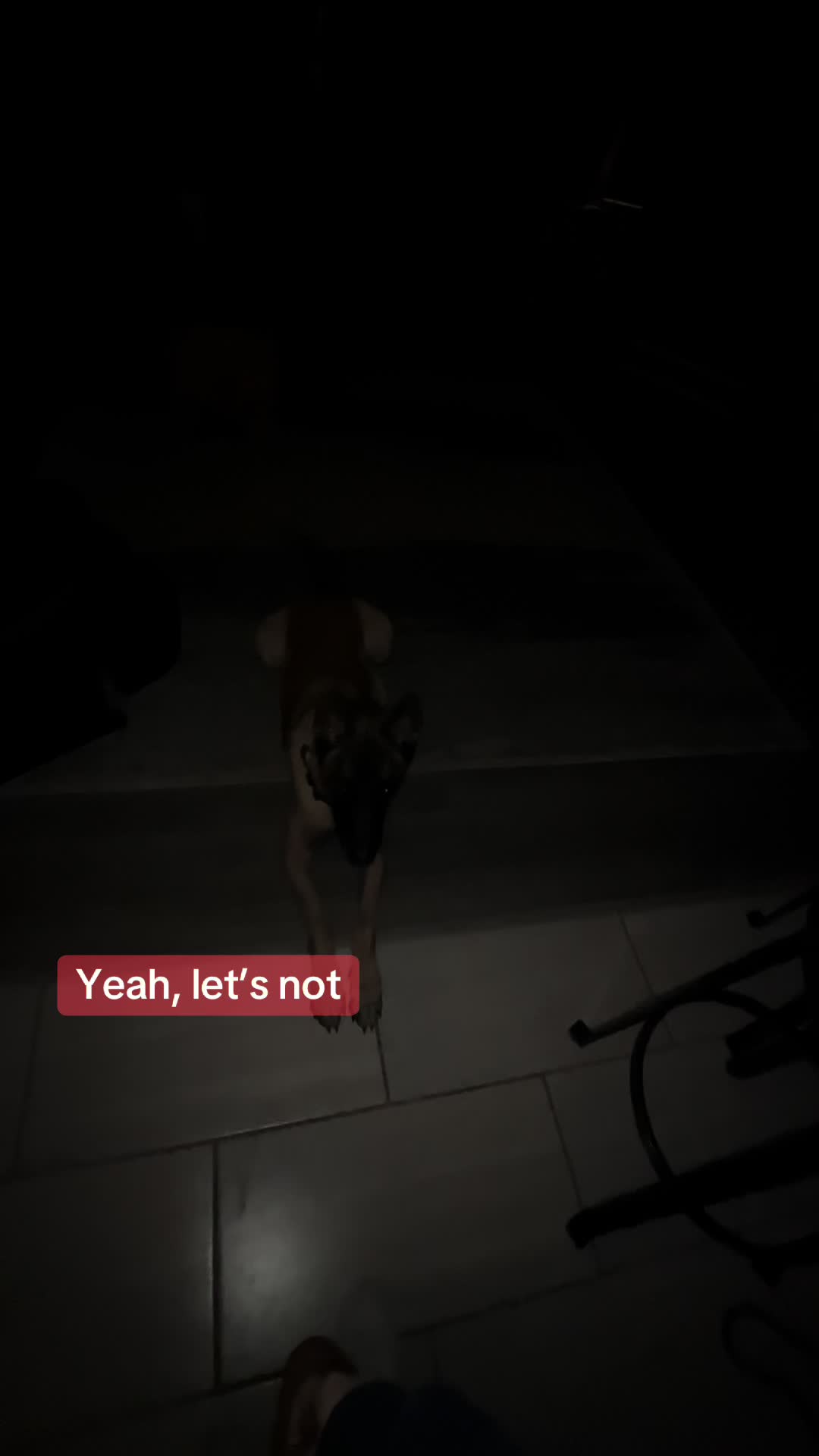 @๐ ๐ป๐ถ๐๐๐ โ๏ธ