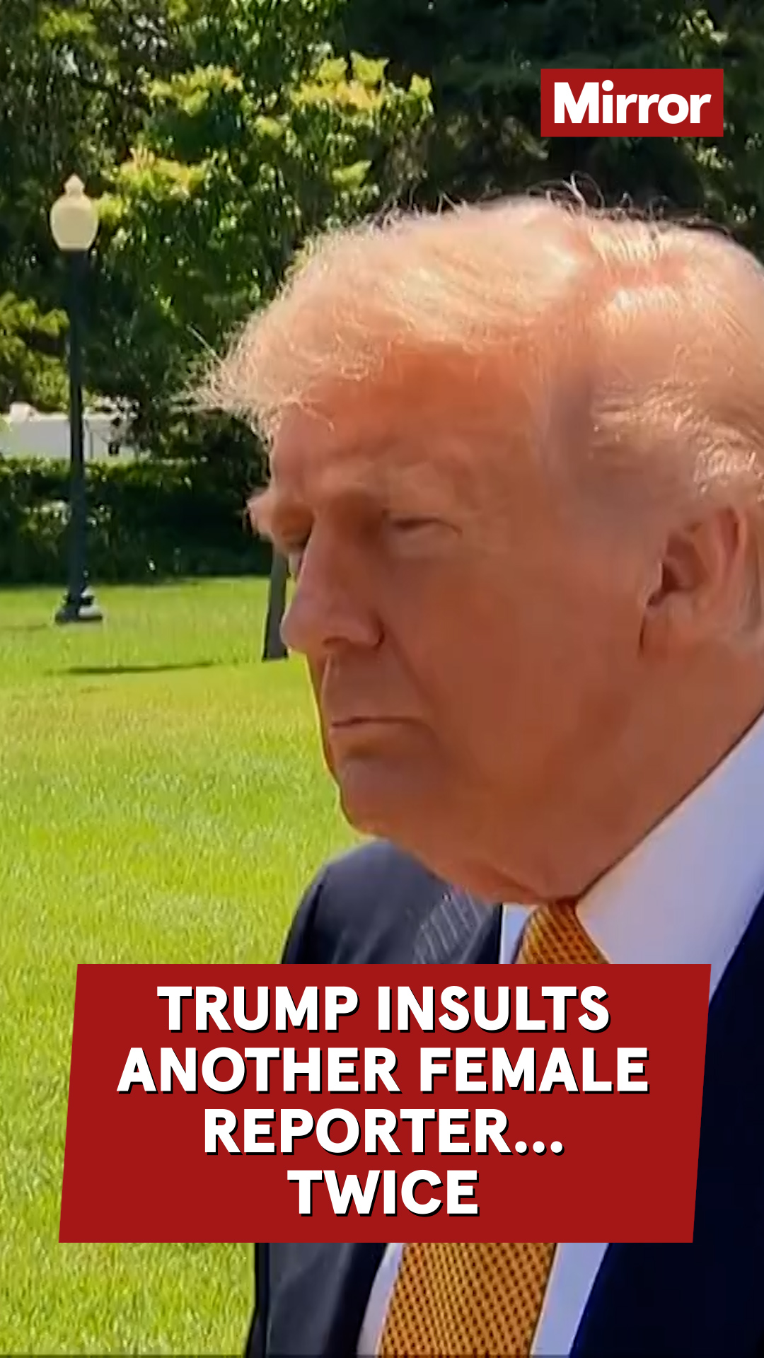 @Mirror Politics