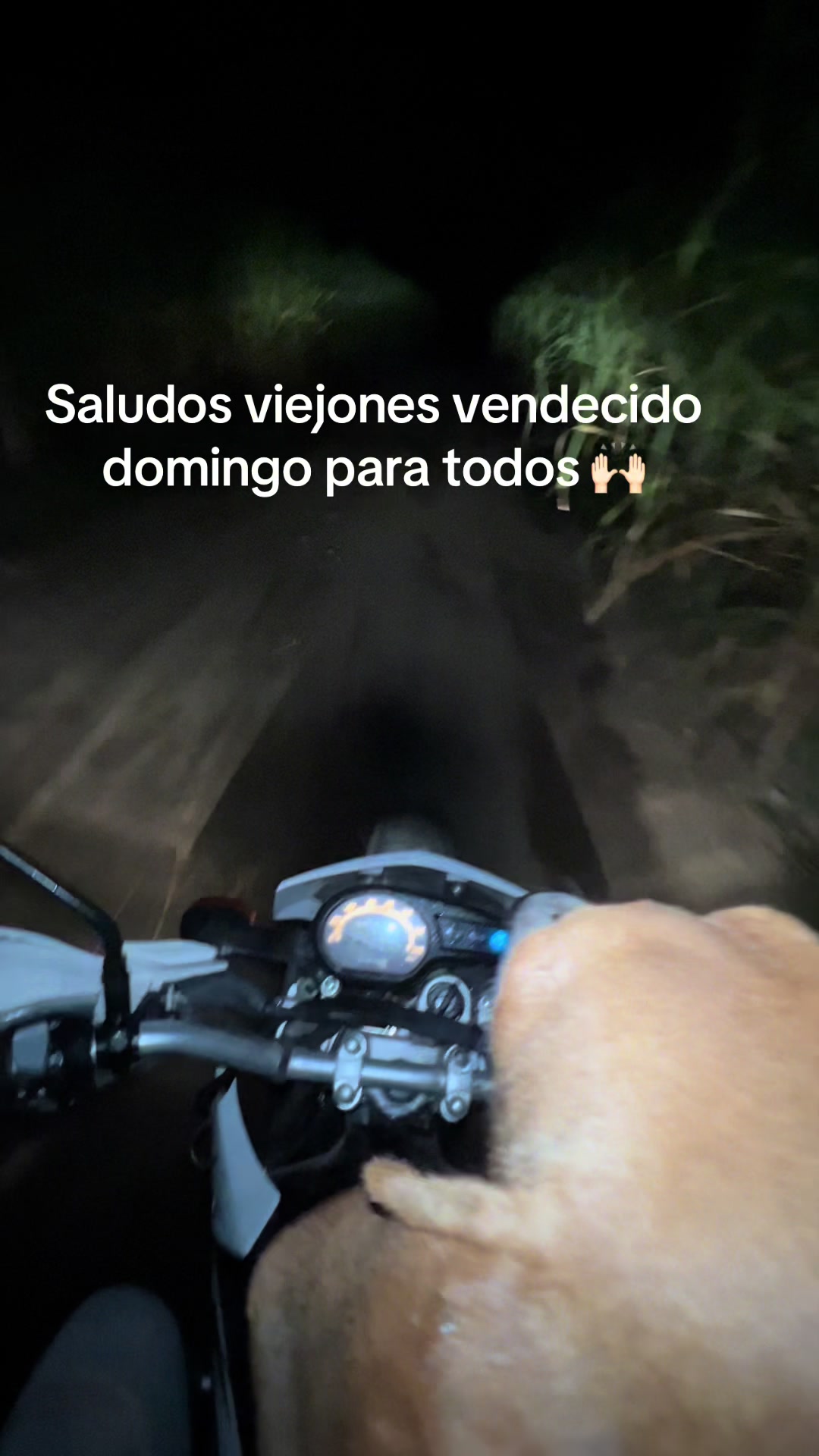 @el caza solo 🐾