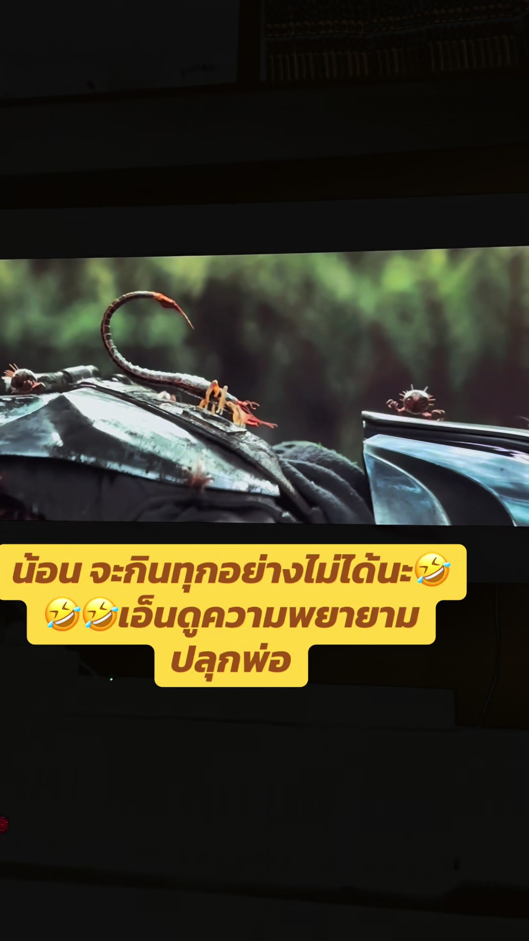 @ฮักที่ให้มาคึมีหญ้าคาติดมานำ