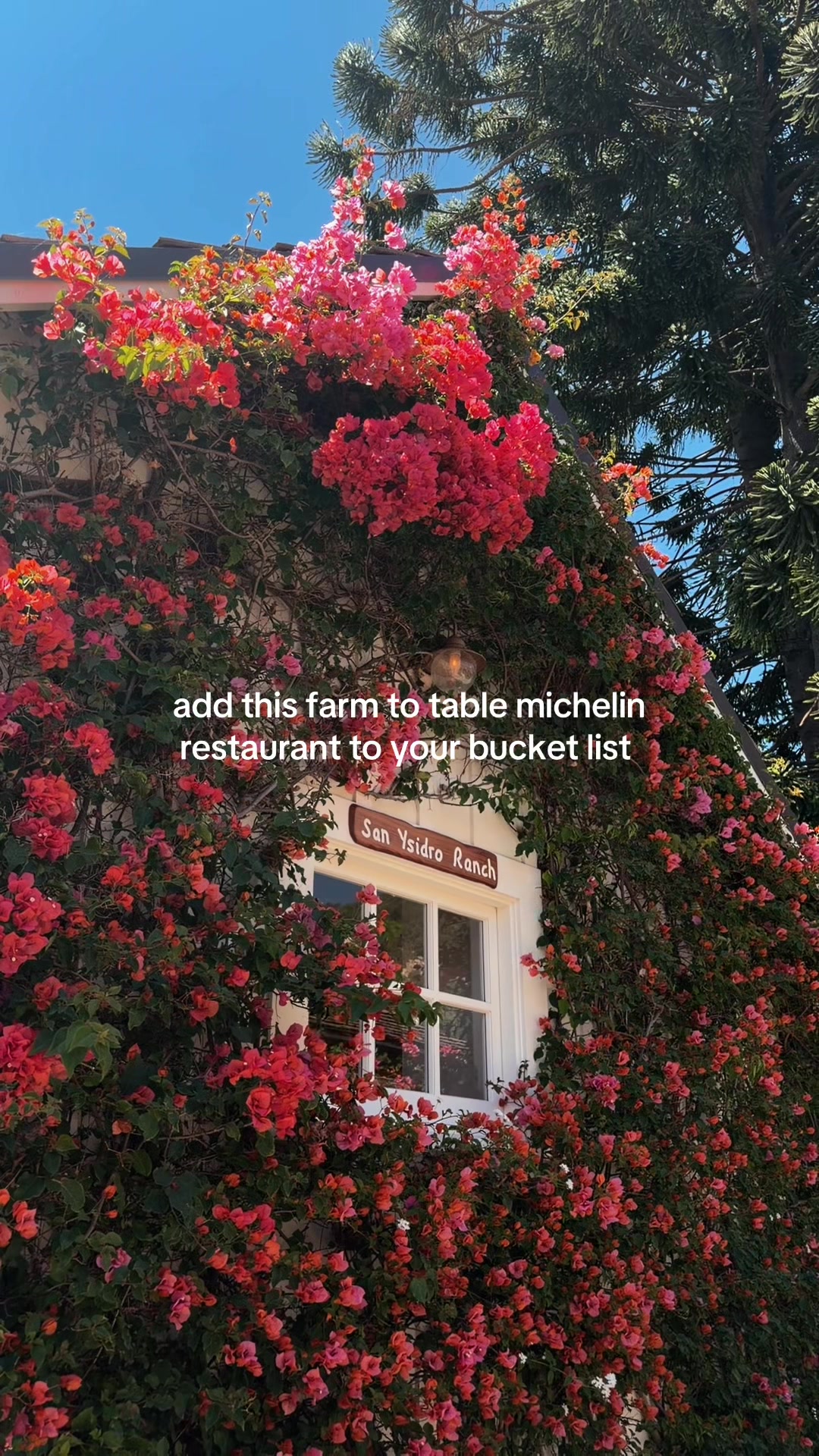 @ashley