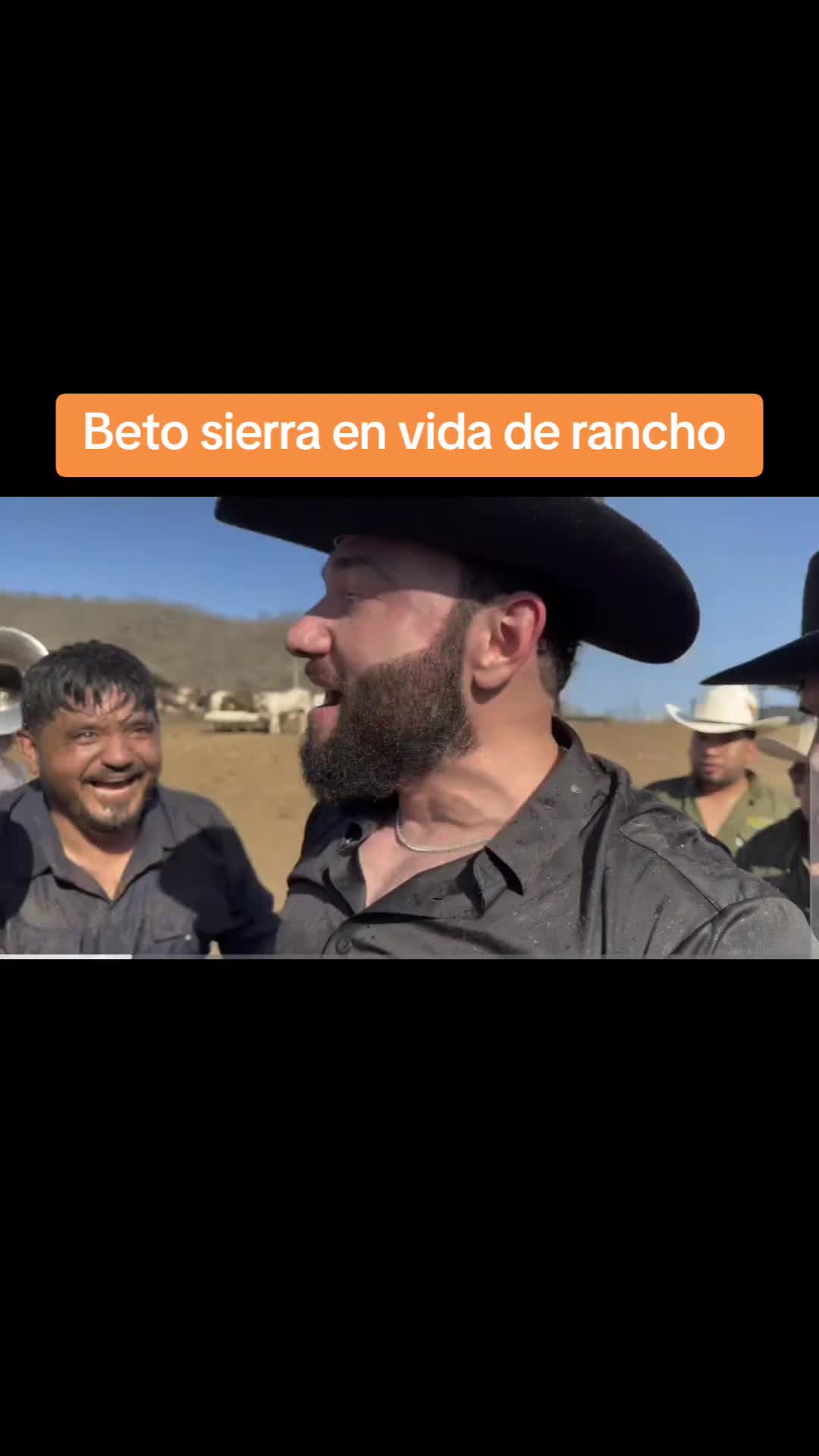 @Chismecito Suculento VIP
