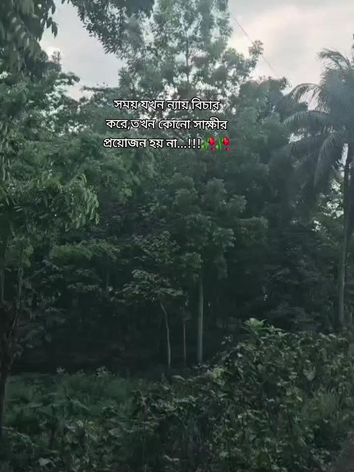 @rafia_kabir