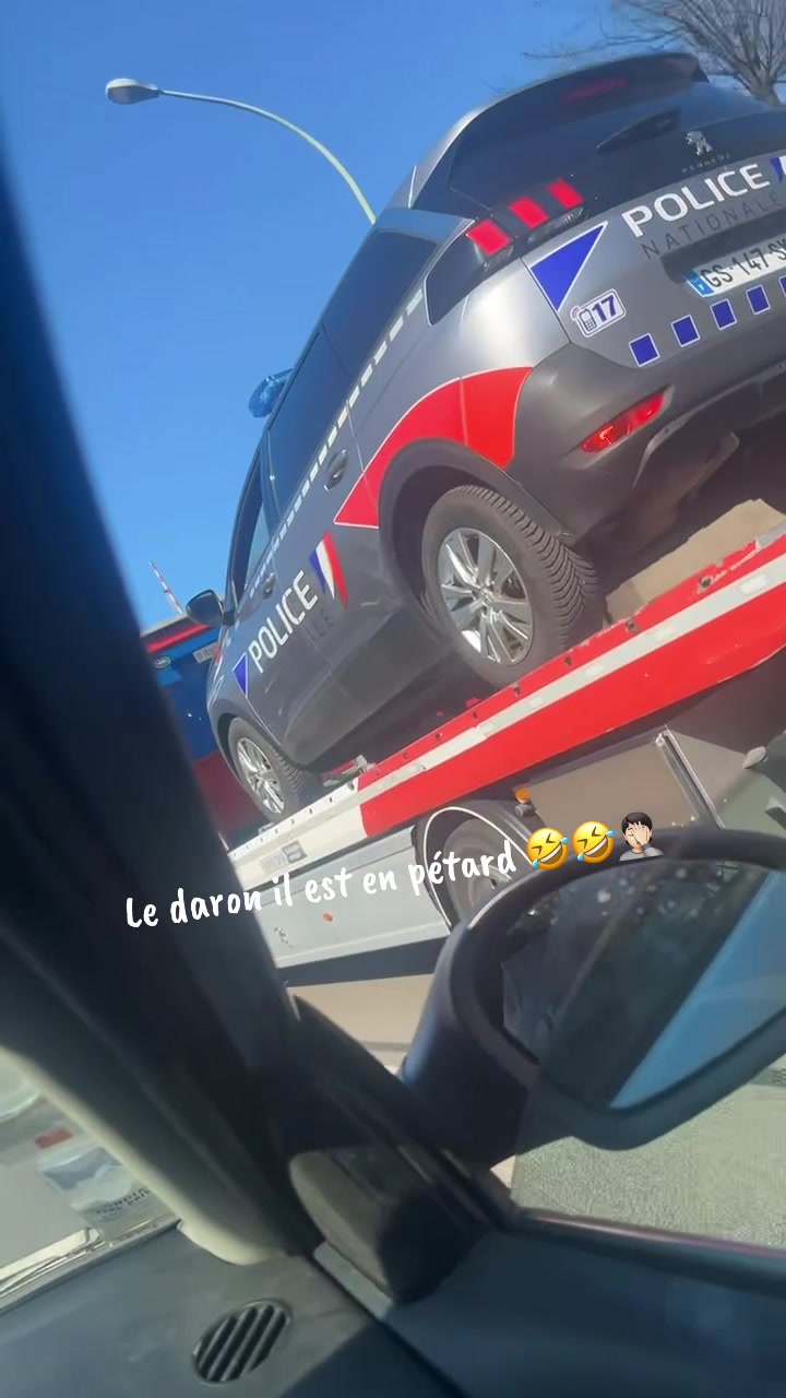 @SharowNini 🔱 🏴&zwj;☠️