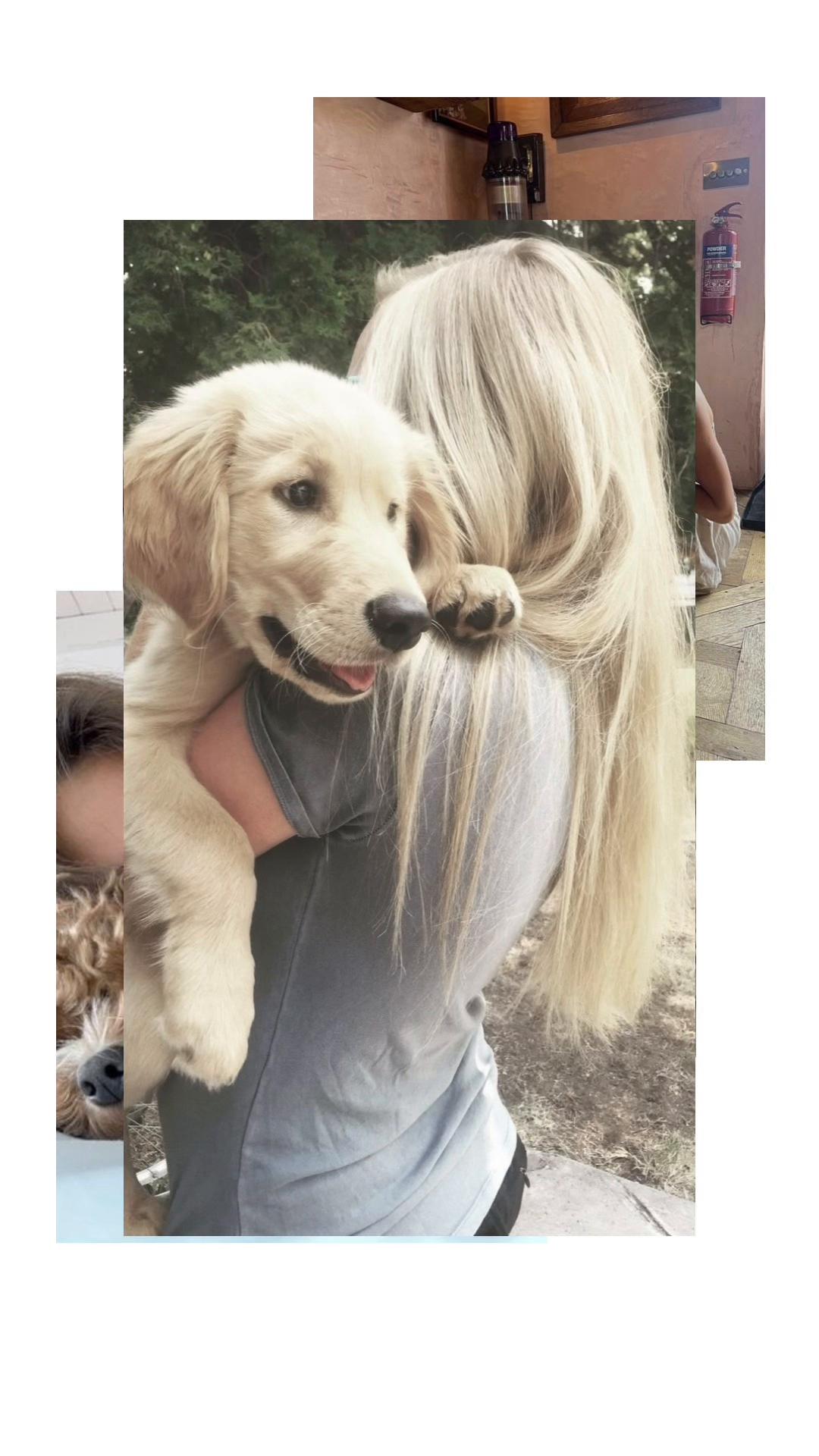 @ᥱ᥎ᥲᥒgᥱᥣ&iota;ᥒᥱ🧁🦄 &deg;❀.ೃ࿔*
