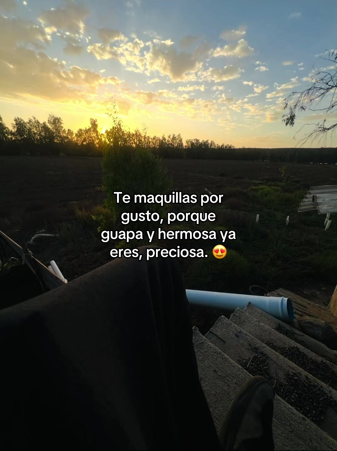 @jesusjp16