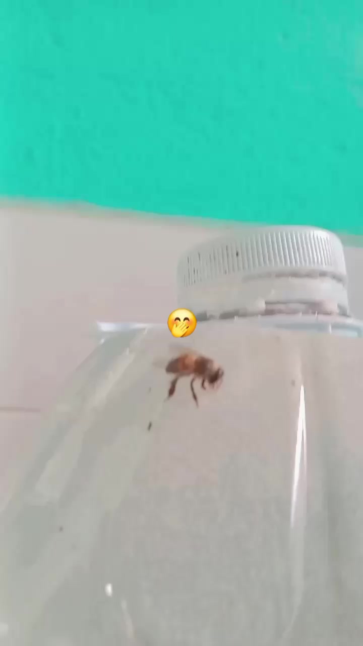 @Gaby Cordova