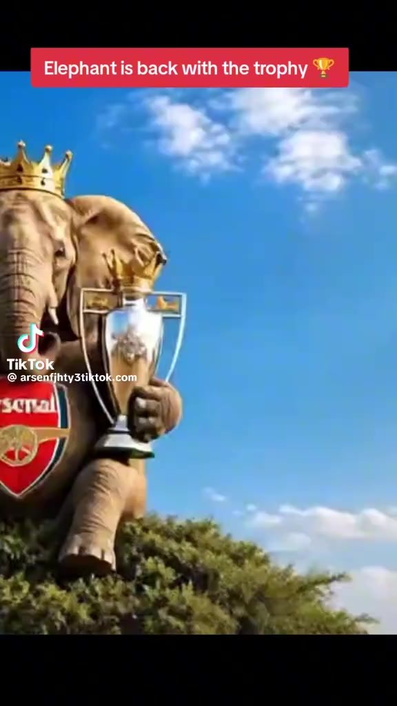 @Emirates
