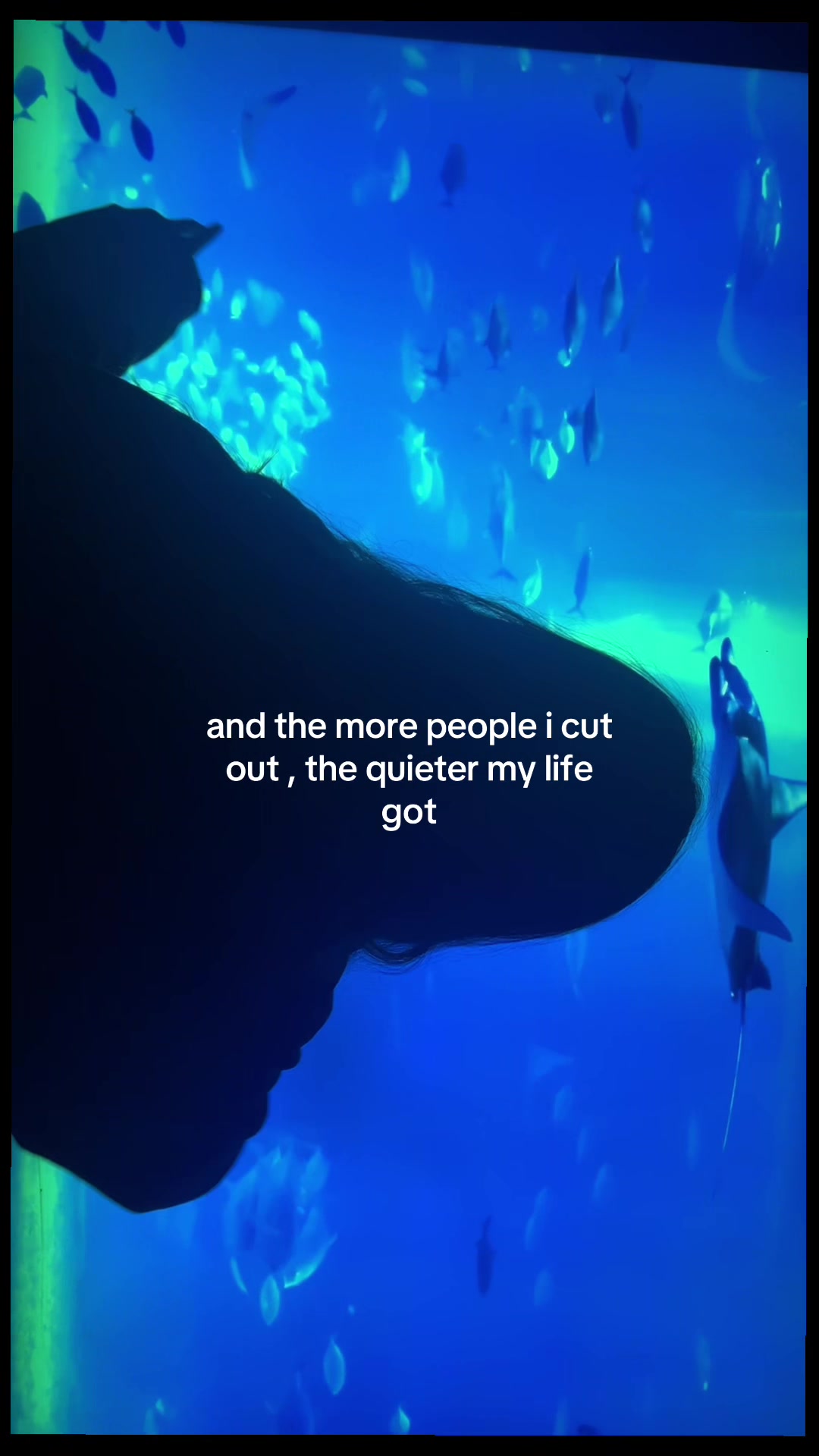 @shanley__