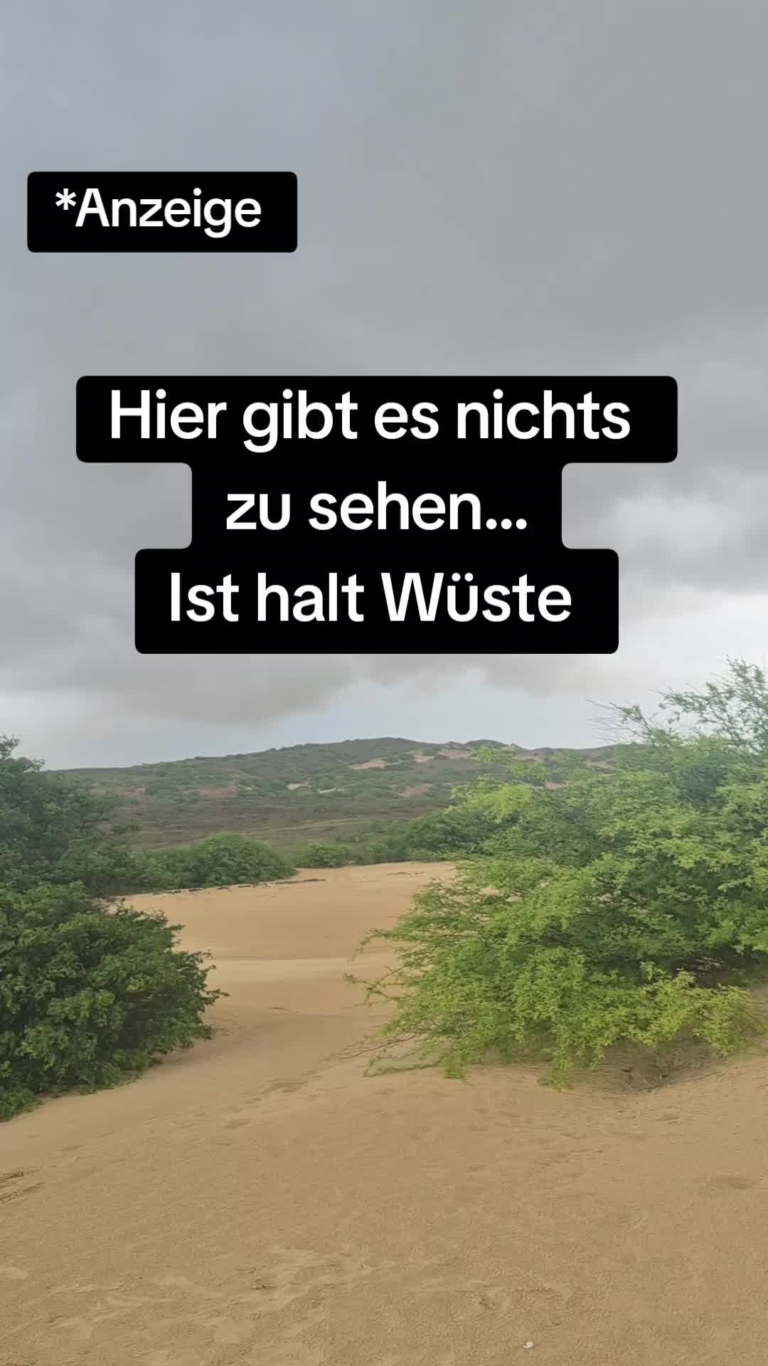 @Patti_booklover 📚