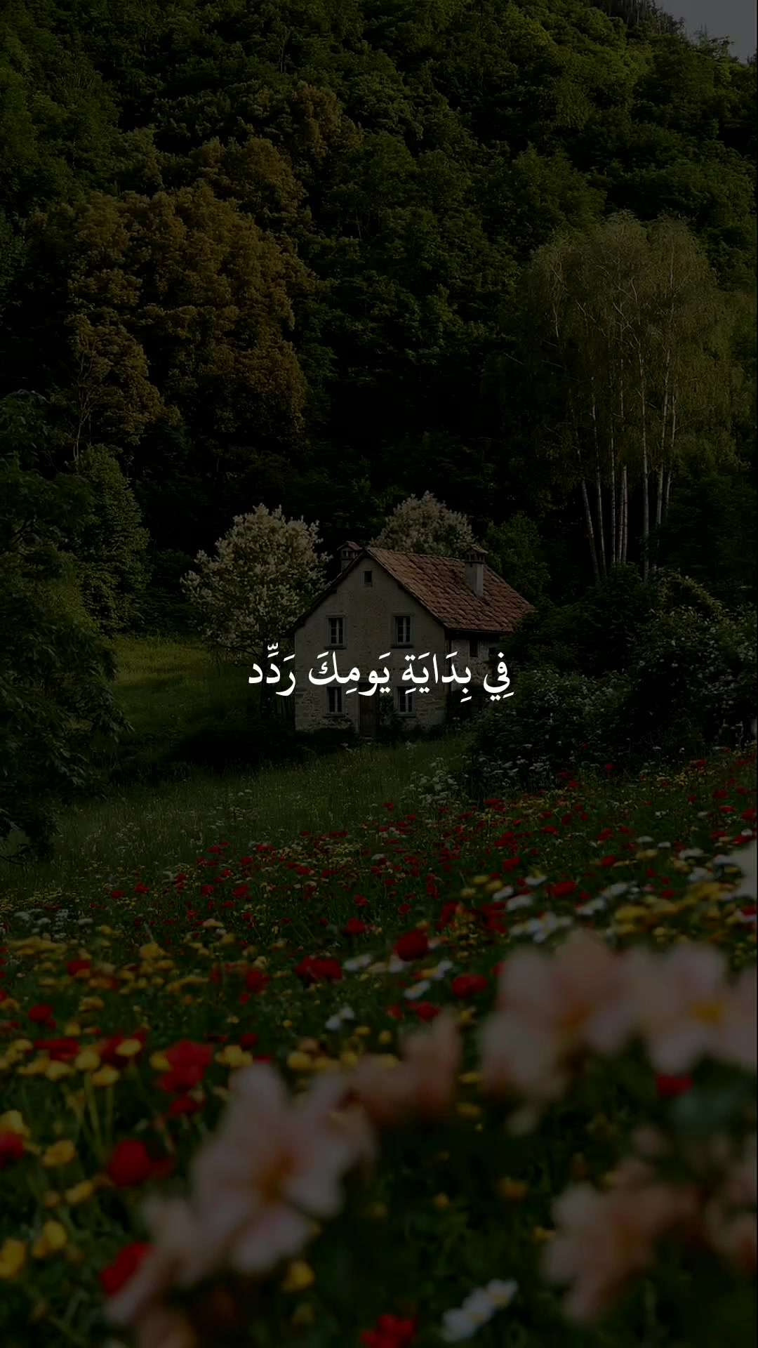 @❀ مُــسلم || 𝐌𝐔𝐒𝐋𝐈𝐌 ❀