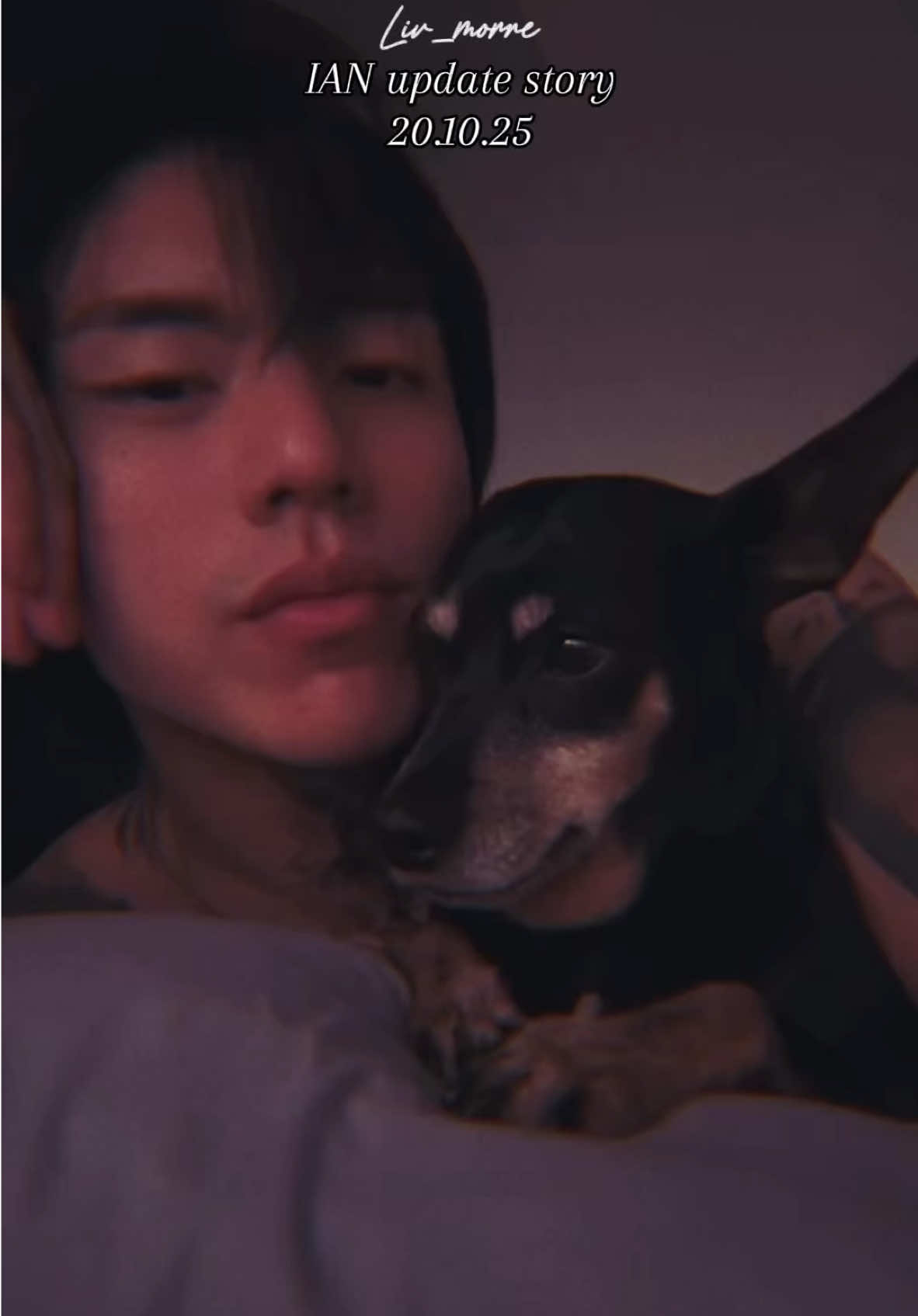 @~ • 🌙 Myt 🐰 • ~