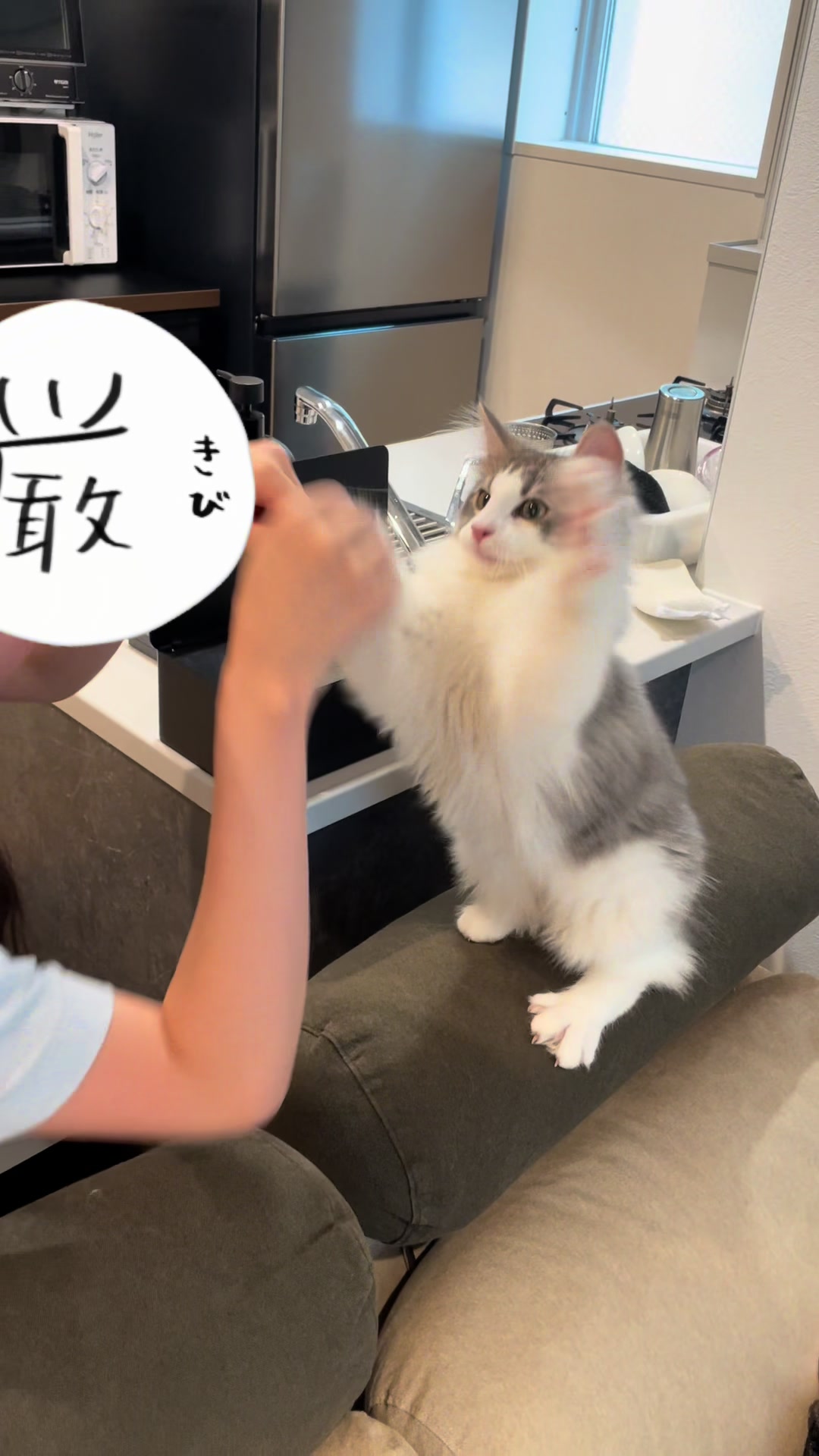 @ねここ様