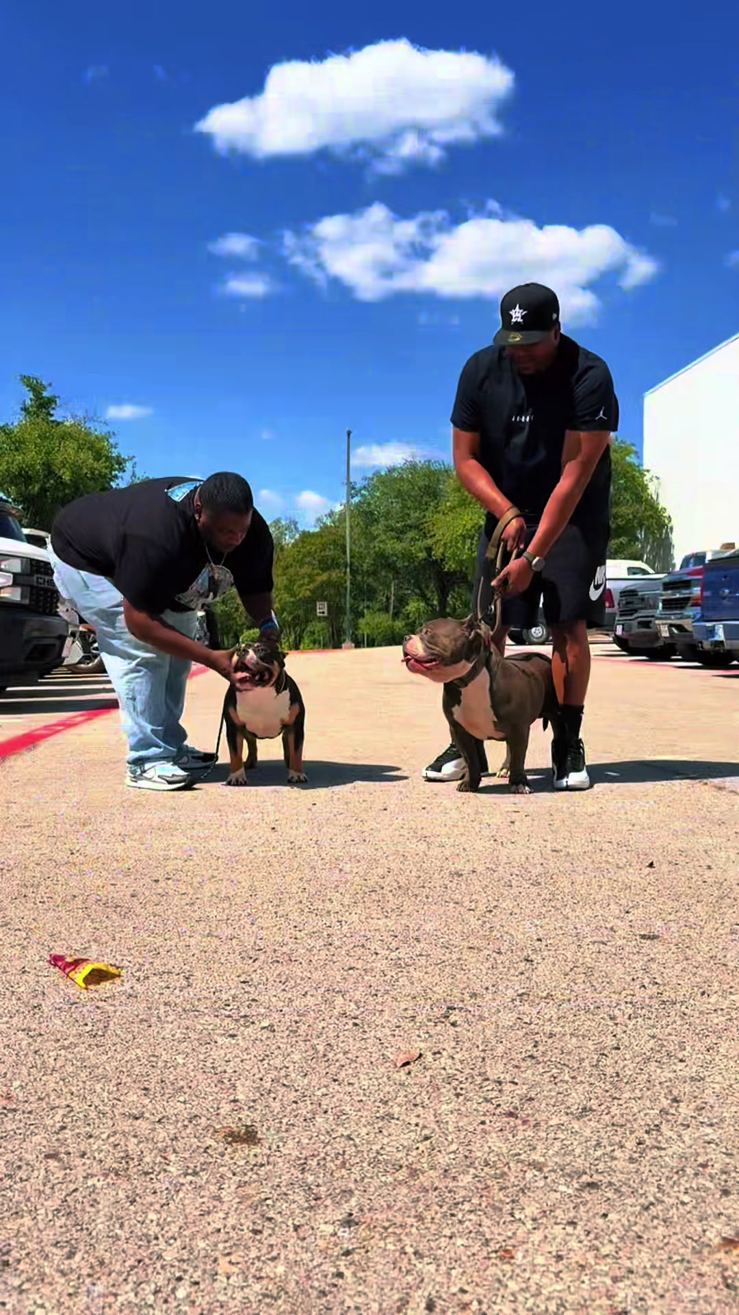 @Scooterzbullyz LLC