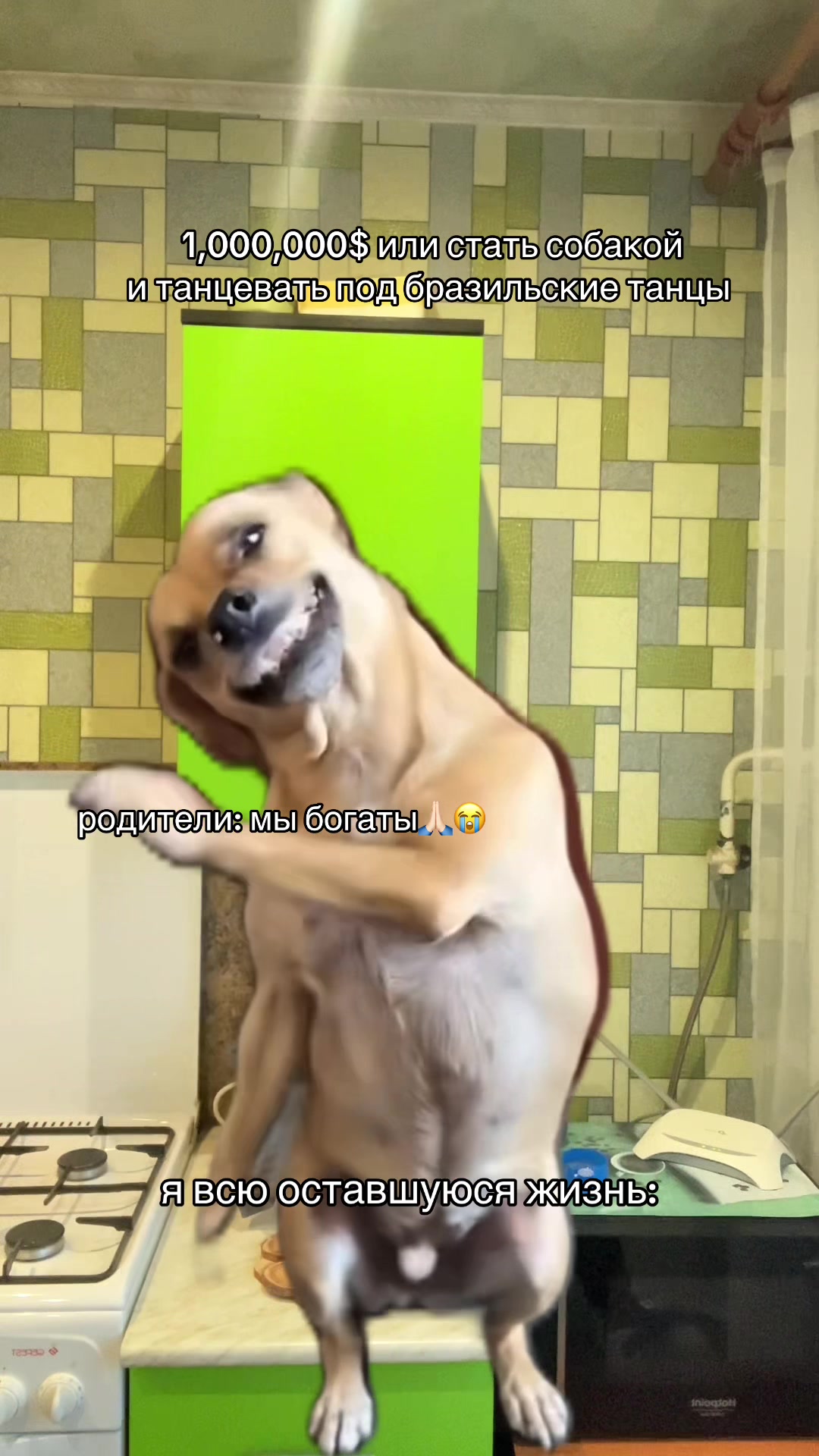 @tgk: настюша вушу
