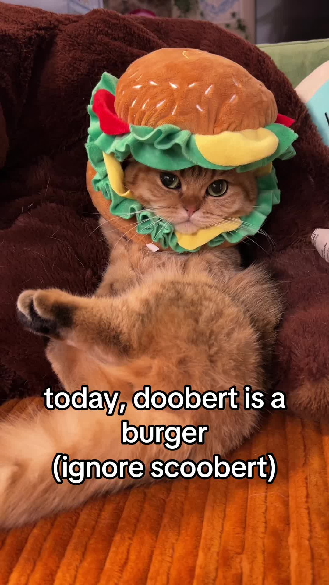 @honey butter chicken biscuit