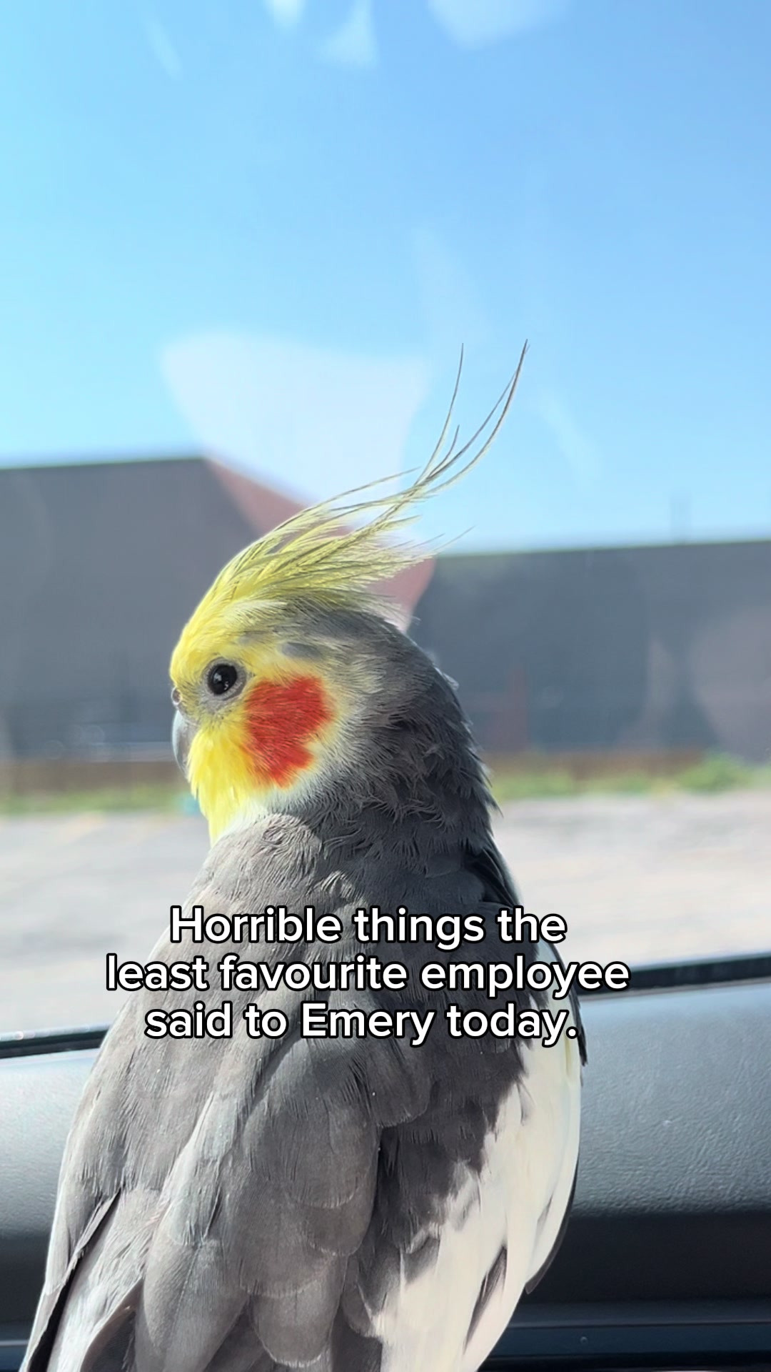 @Emery The Branch Manager