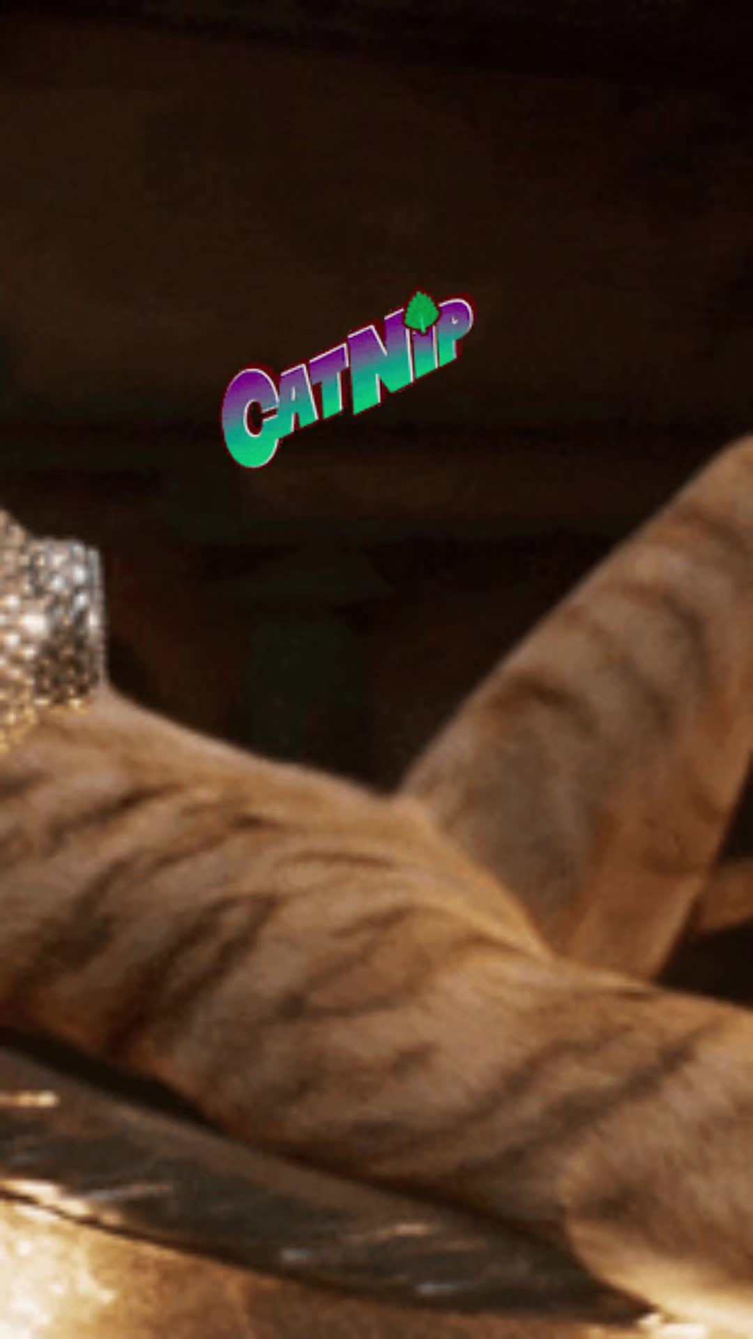 @GIF LOVER❤️