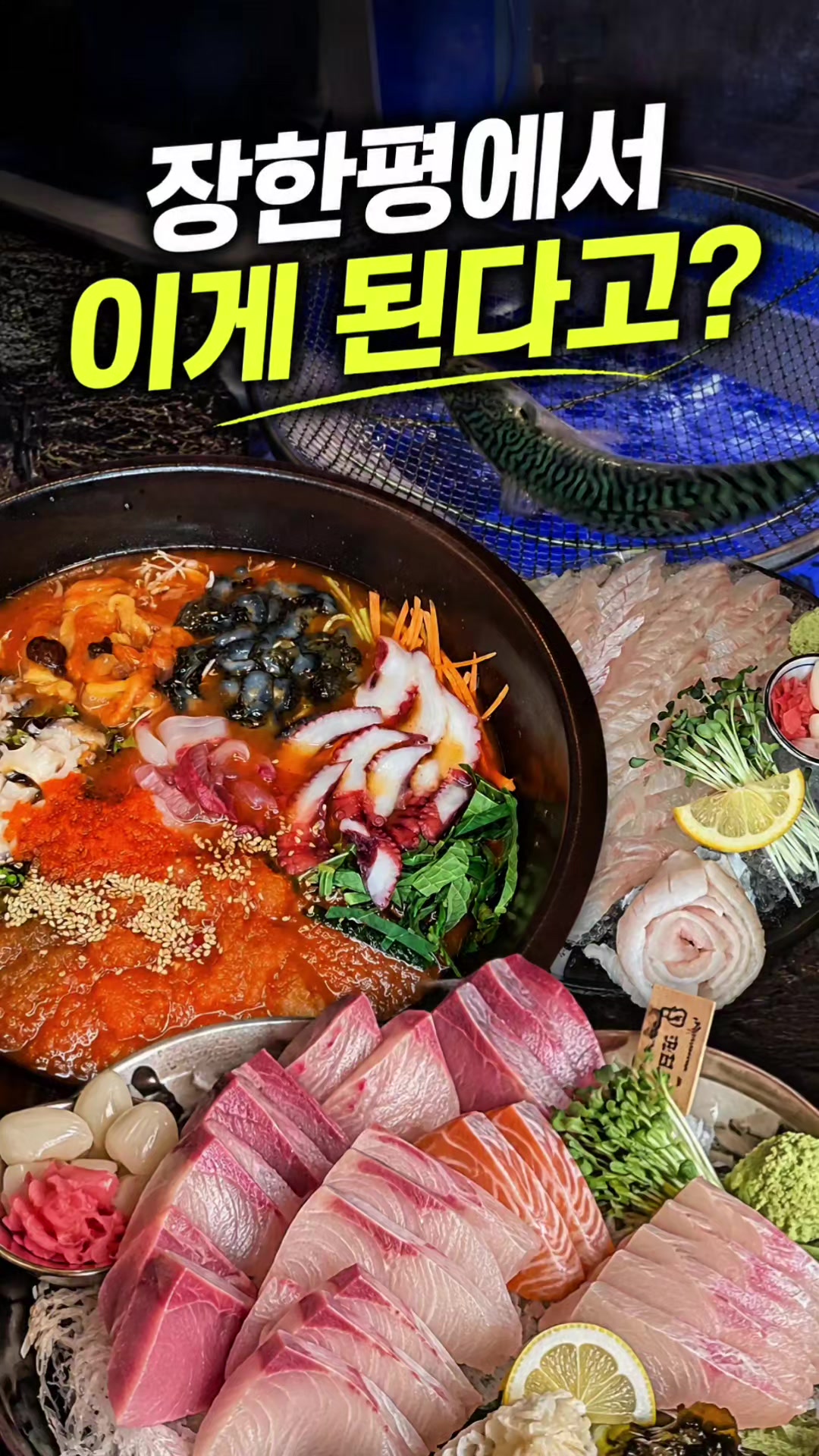 @해피문군