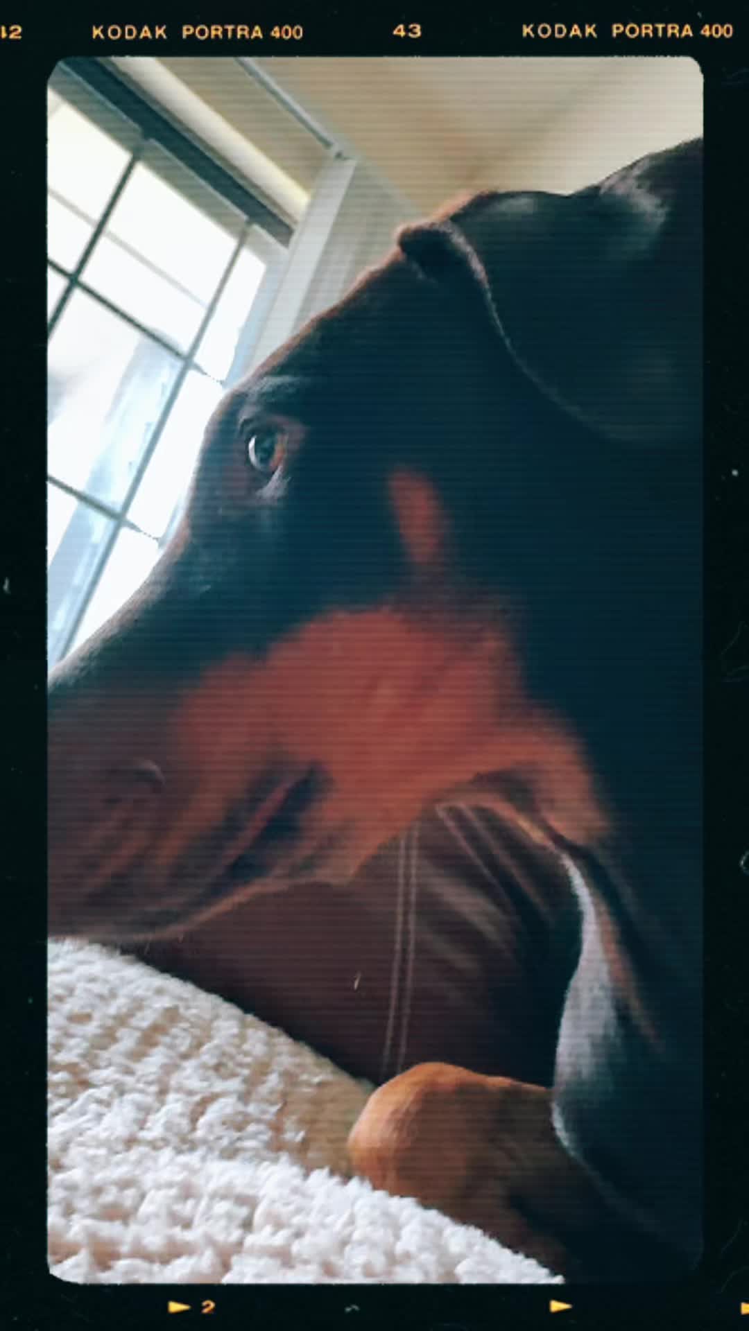 @φµεεɳ ѵเσℓεƭ