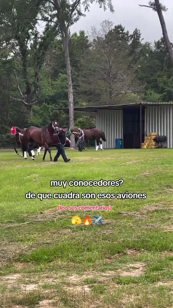 @carriles altos de jalisco🐎