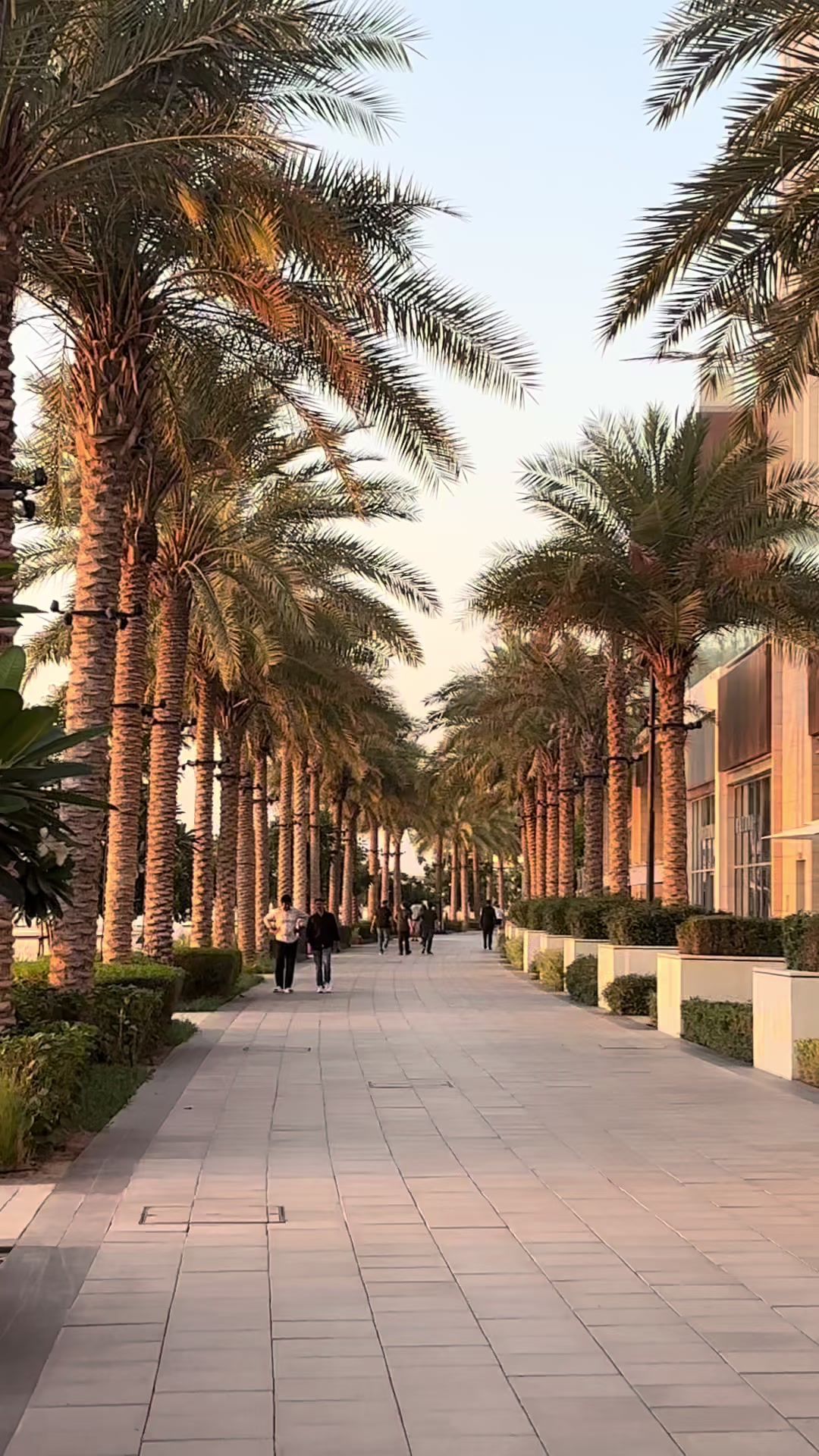 @UtazzVelem Dubajba