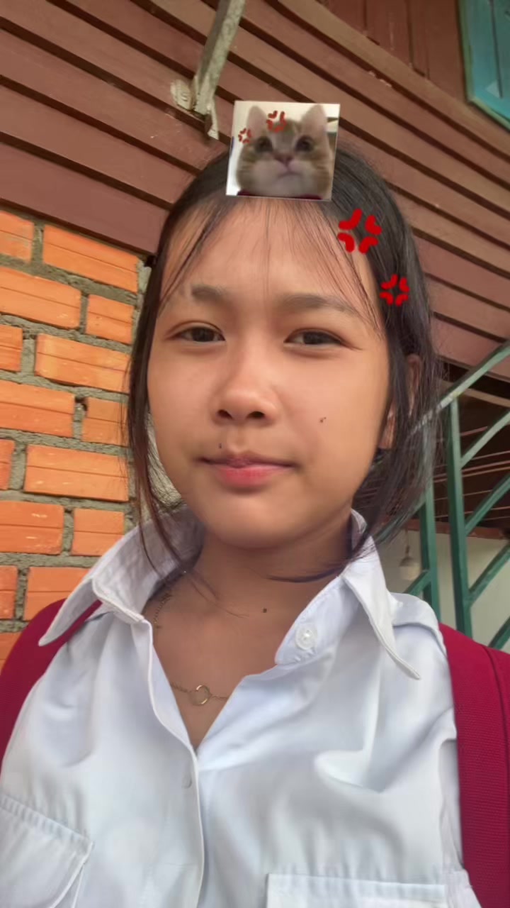 @KDMV