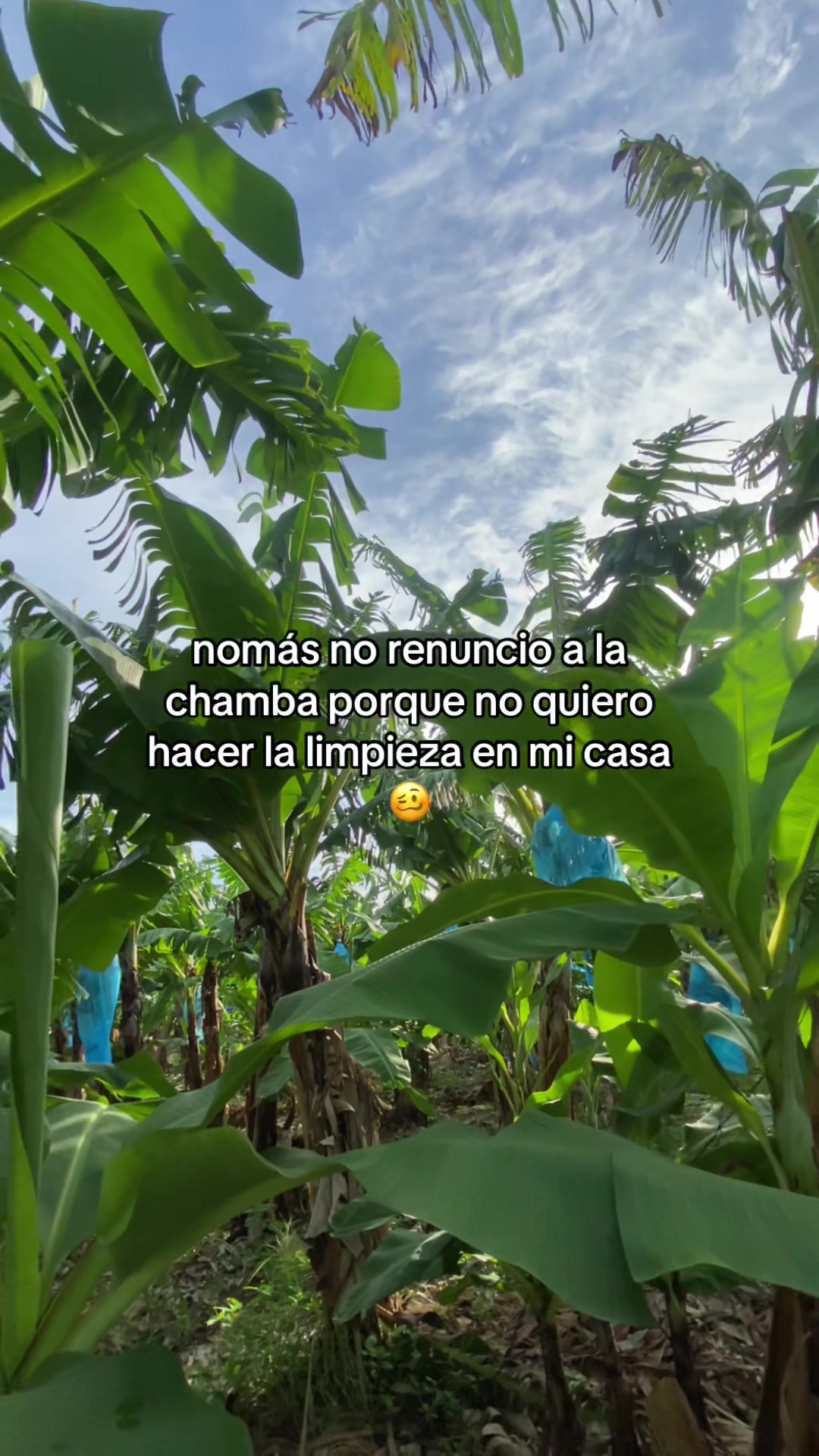 @Mujer Agrícola