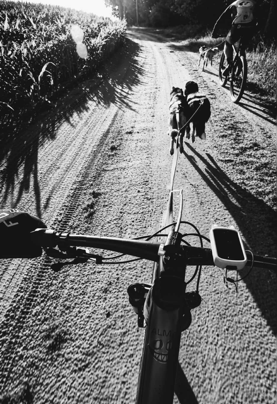 @Agnieszka Ignaszak bikejoring