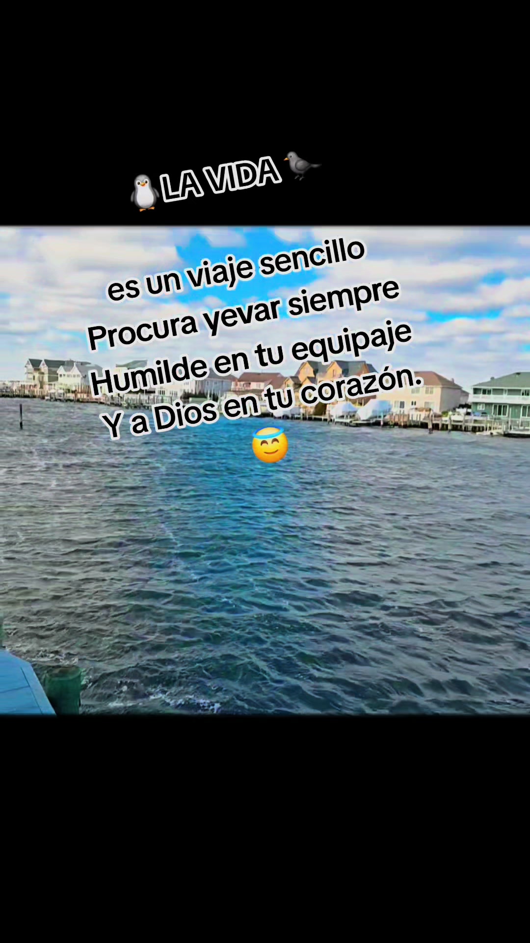 @🇲🇽Guli.Carrada 🐈&zwj;⬛