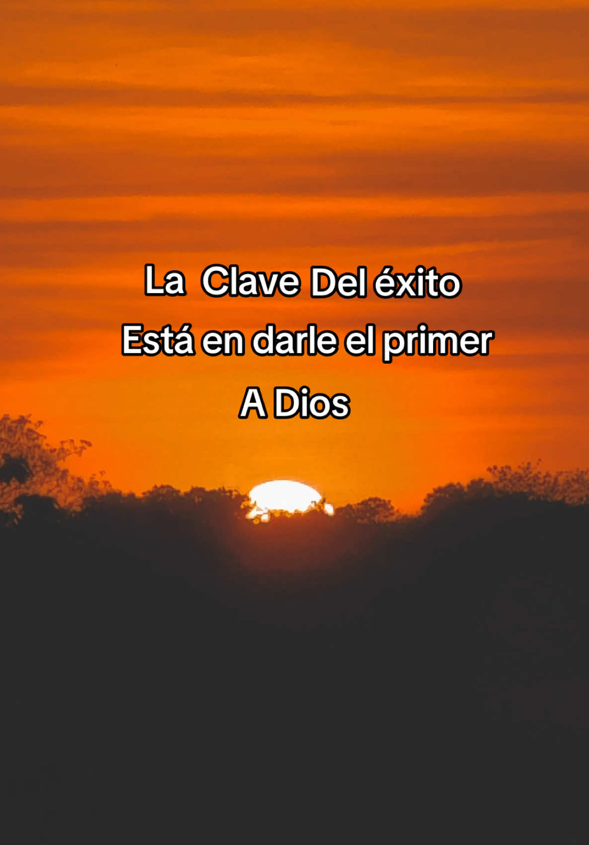 @Kevin Mairena