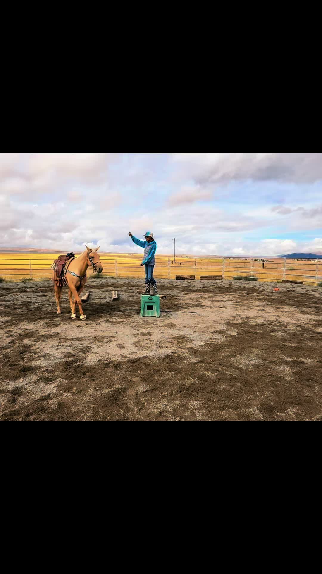 @Cowgirl Tuff Colt Training ❤️