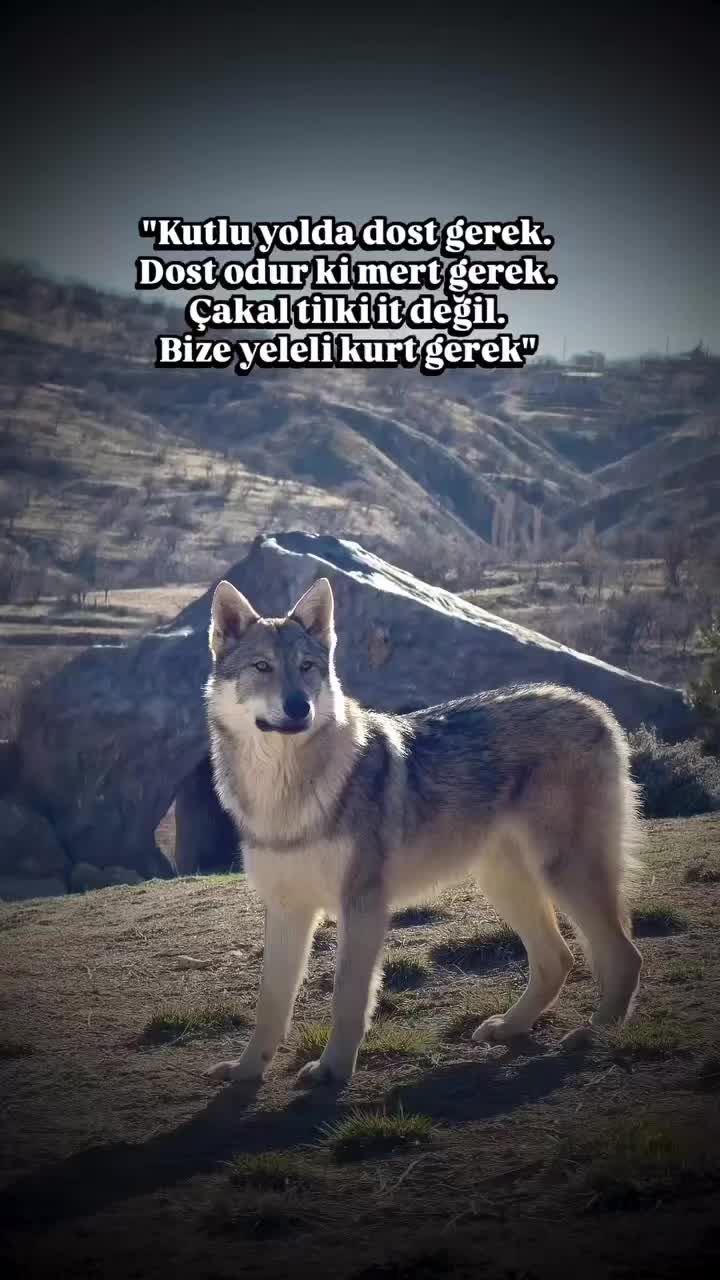 @🇹🇷͜͡͡✯TUĞBA🇹🇷͜͡͡✯