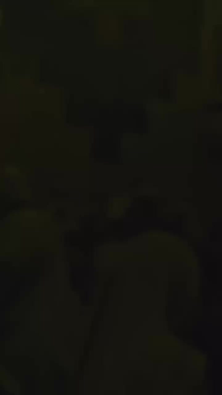 @At Tiermizie