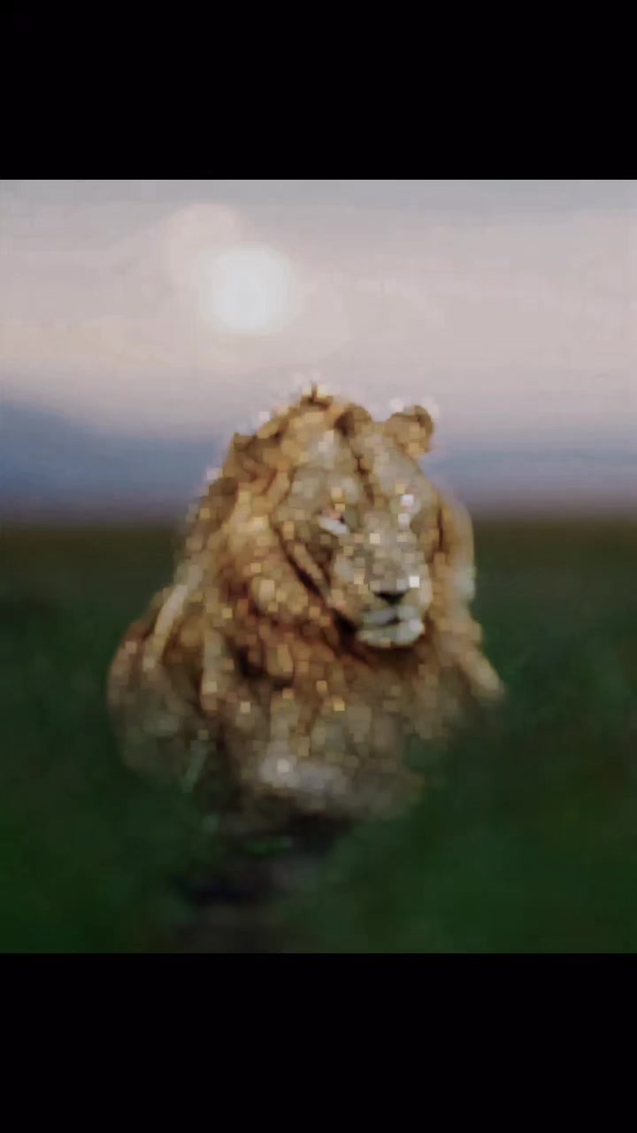 @Guzzicar🦁