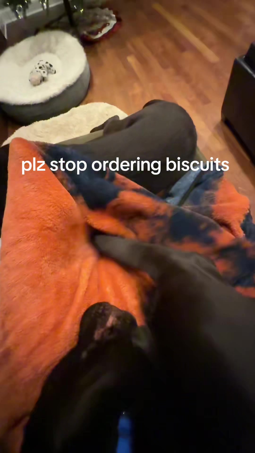 @alexis