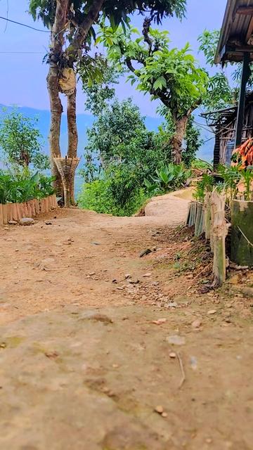 @Nawaraj Bhurtel