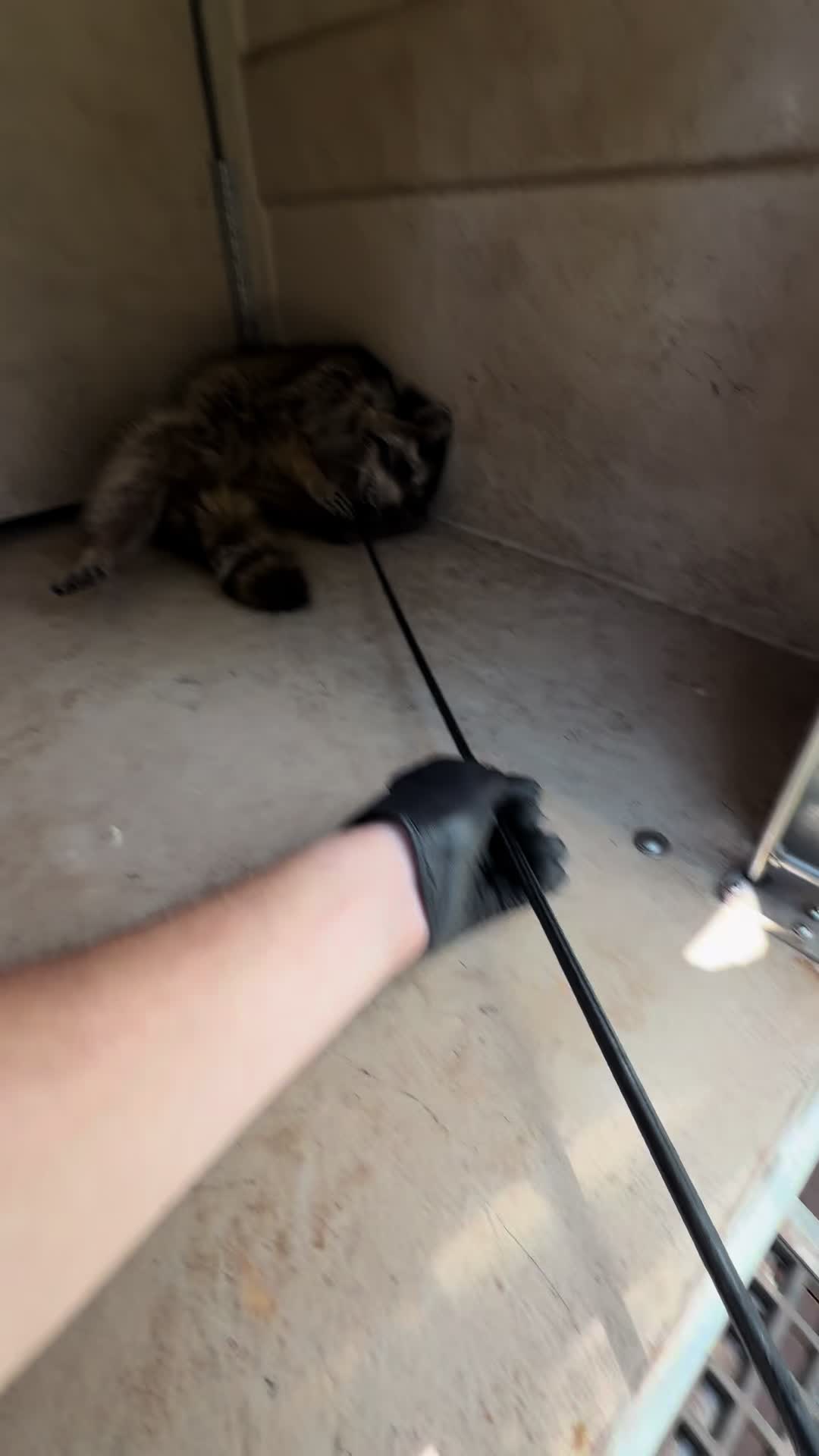 @AnimalWelfareGuy