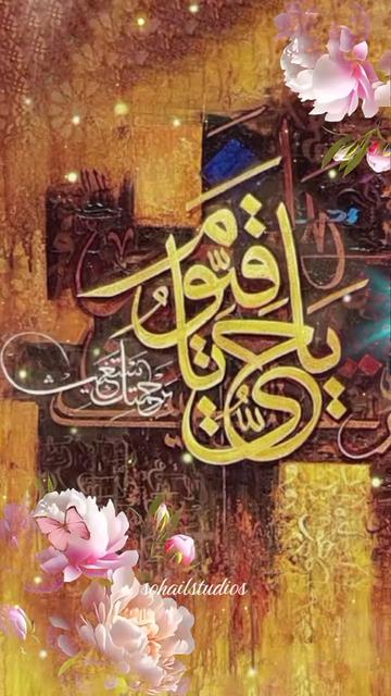 @sohail