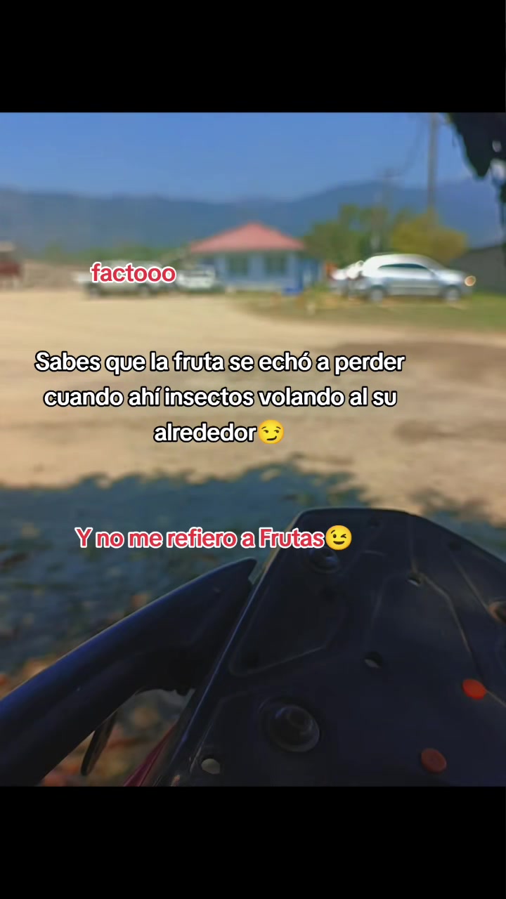 @Ivis 1602🥺