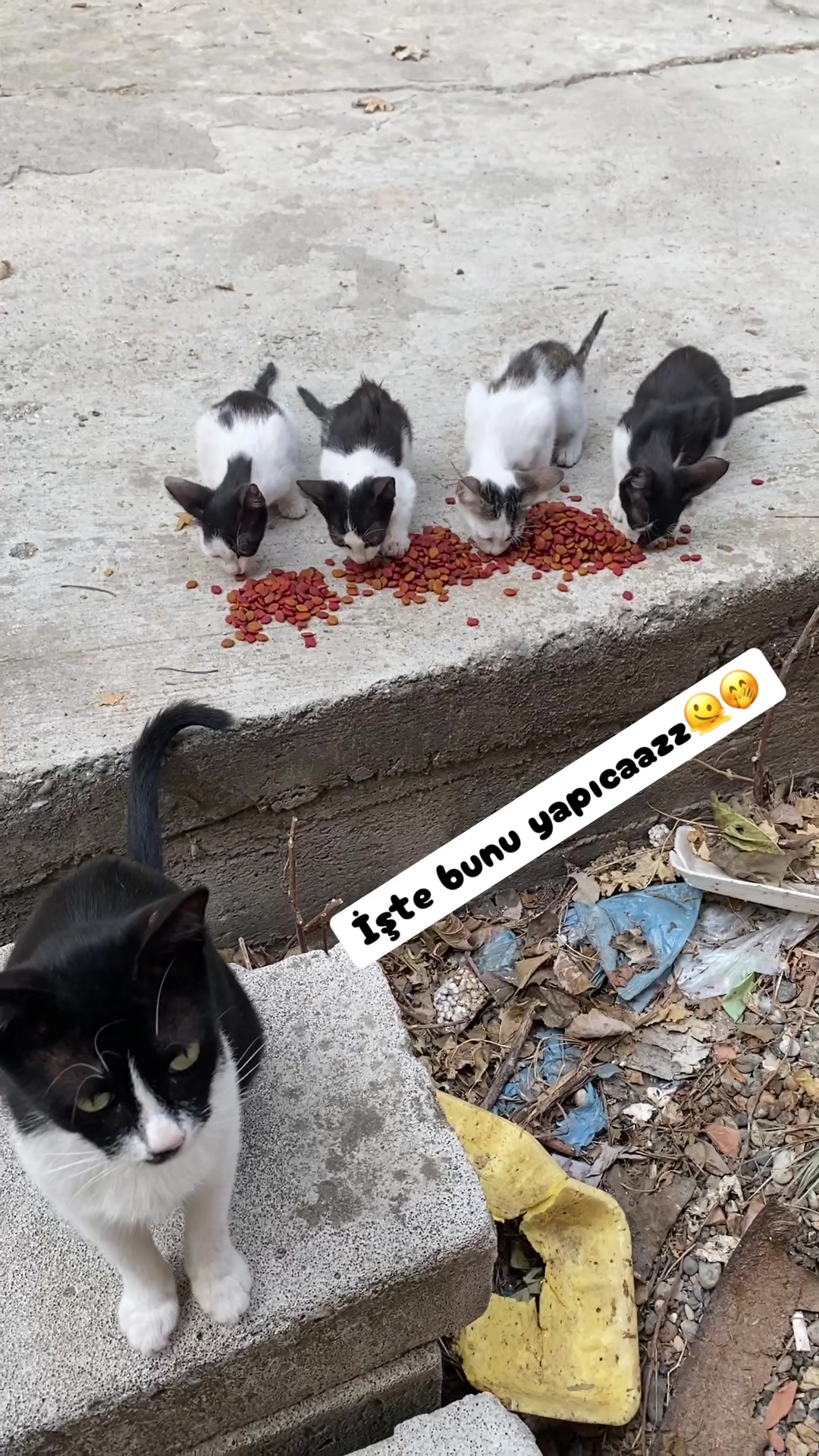 @Şapkalı Kadın