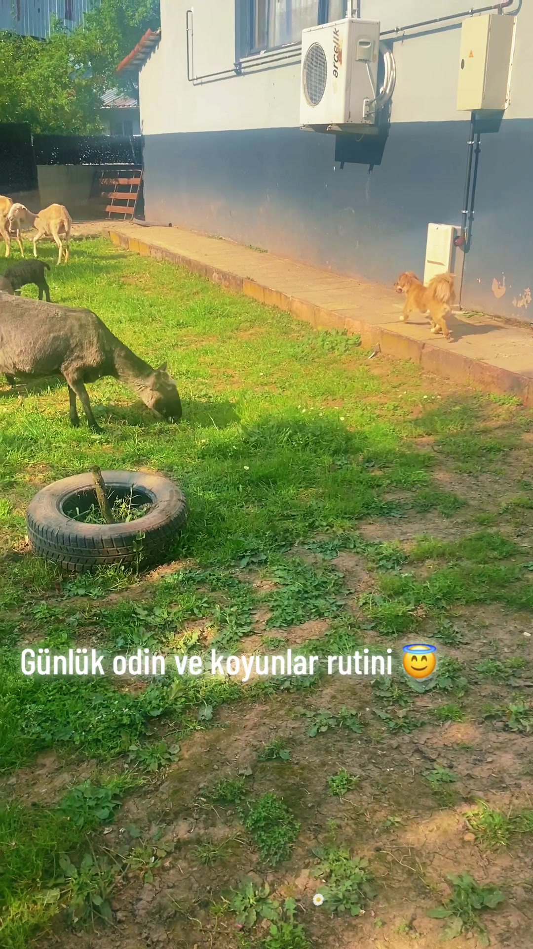 @vay_arkqdqs
