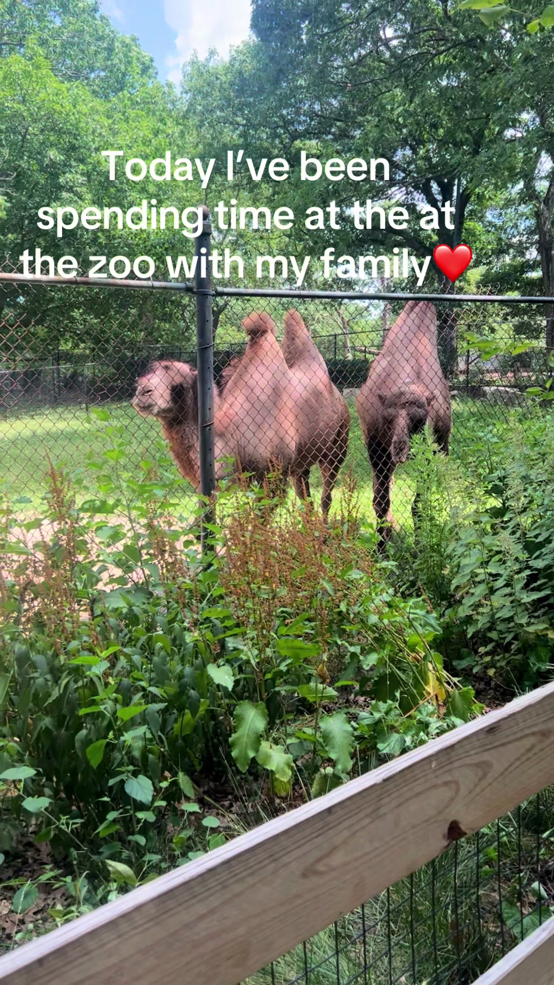 @Fatu C❤️