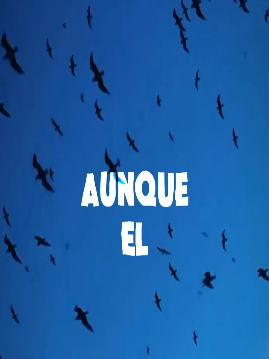 @𝗠𝗨𝗦𝗜𝗖 𝗩𝗜𝗕𝗘𝗦