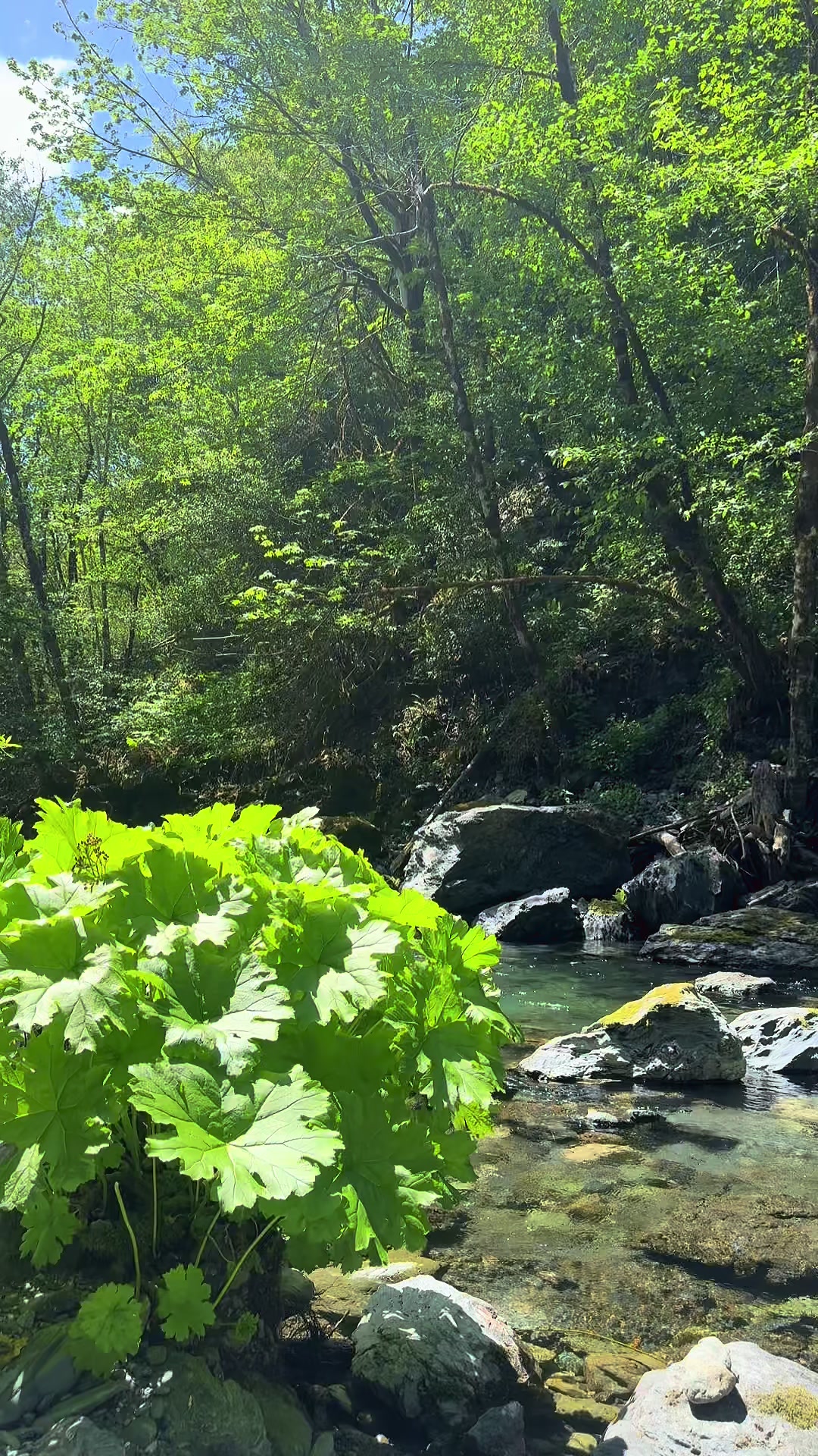 @Tenayah Gensaw