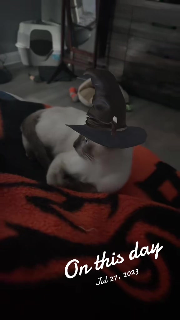 @CaptJackandCrew