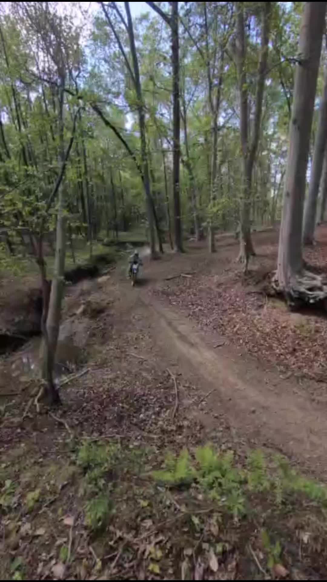 @Thom ass