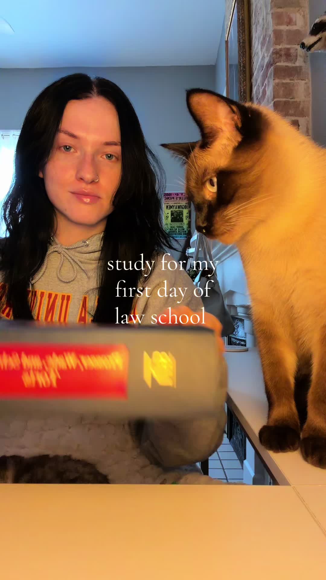 @lawternative